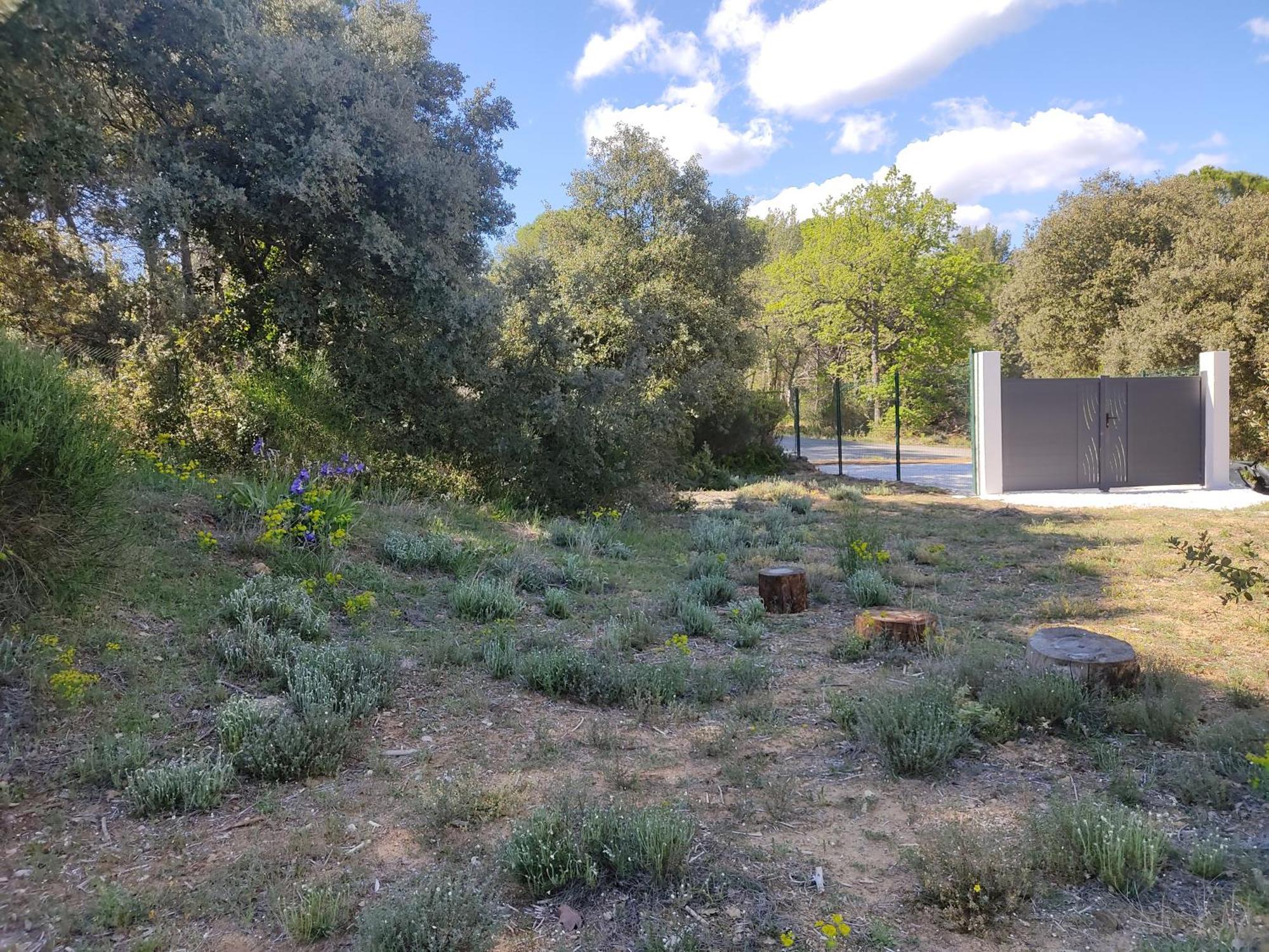 Dans La Foret Provencale Appartement *
